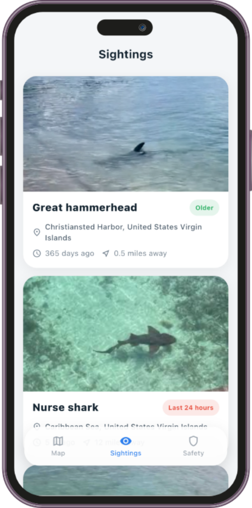 Mobile app sightings feed showing shark reports with images, species names, locations, timestamps, and distance from the user, including labels for recency.